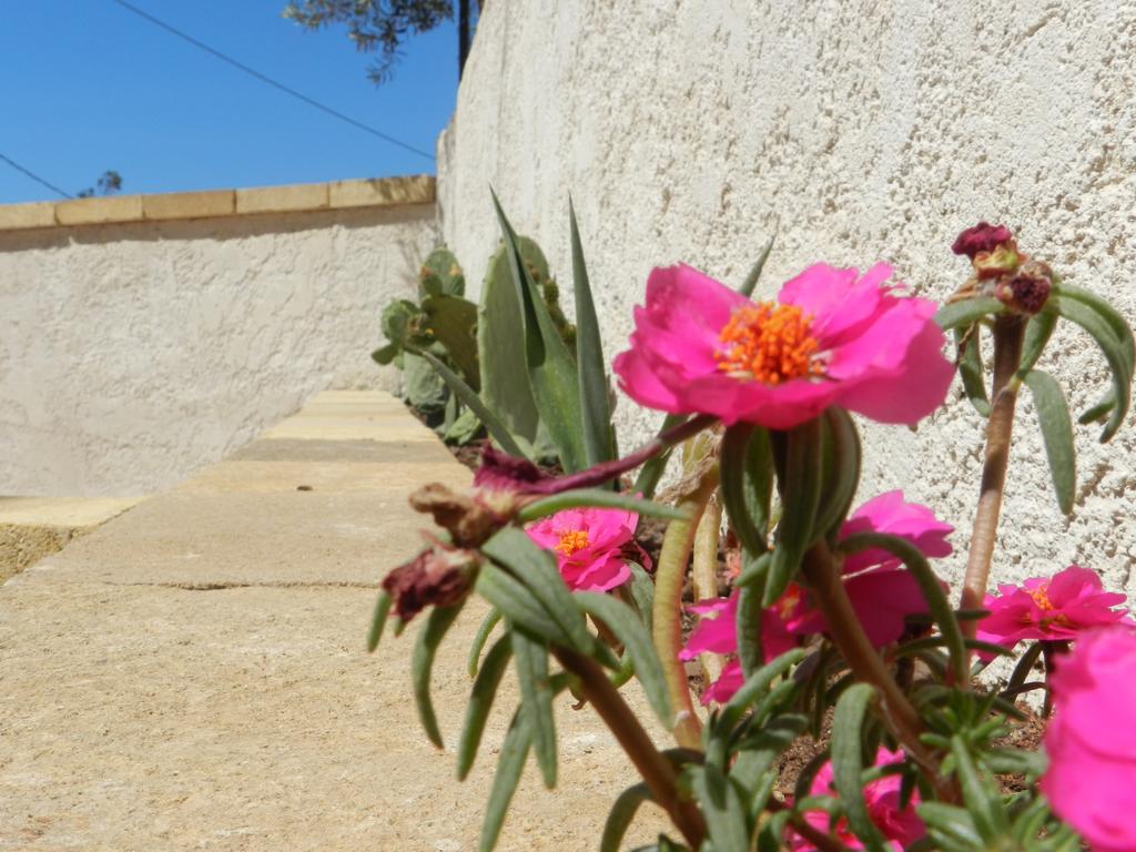 The White Rocks Villa Lido di Noto Eksteriør billede